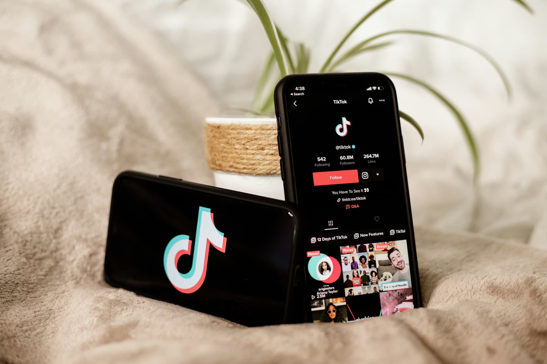 TikTok intégré